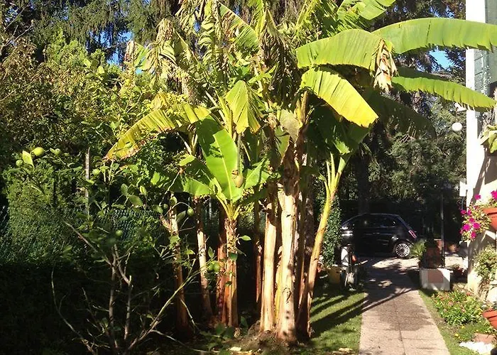 Hotel Stella Venedigs Lido