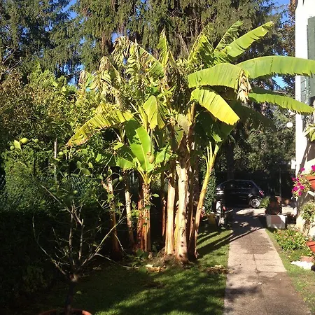 Hotell Stella Venedig-Lido