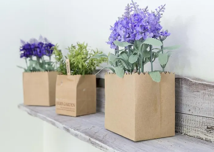 Hotel Stella Venetië-Lido